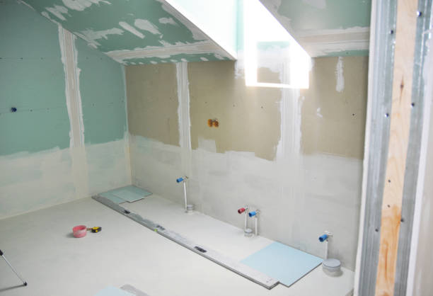 Best Mold Damage Restoration  in Bloomingdale, TN
