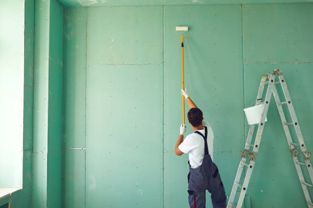 Reliable Bloomingdale, TN Mold Removal Solutions